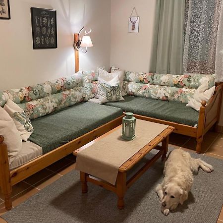 Hundefreundliche Bergwohnung Neben Der Skipiste - Mittelstation Skigebiet Gerlitzen Kanzelhohe Buitenkant foto