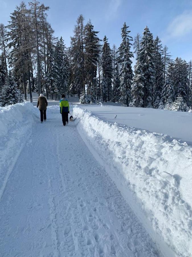 Hundefreundliche Bergwohnung Neben Der Skipiste - Mittelstation Skigebiet Gerlitzen Kanzelhohe Buitenkant foto