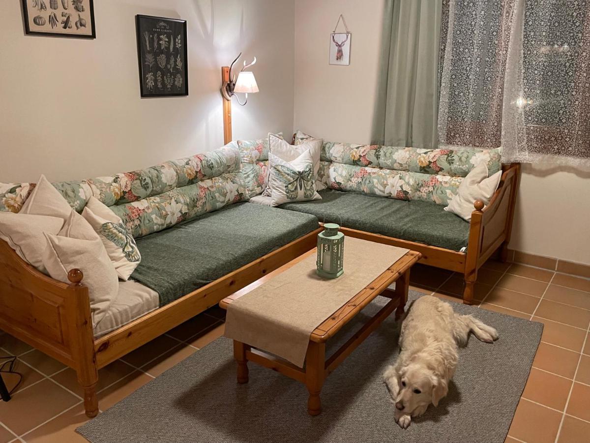 Hundefreundliche Bergwohnung Neben Der Skipiste - Mittelstation Skigebiet Gerlitzen Kanzelhohe Buitenkant foto