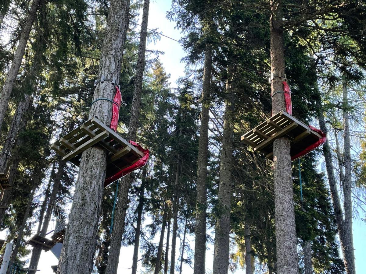 Hundefreundliche Bergwohnung Neben Der Skipiste - Mittelstation Skigebiet Gerlitzen Kanzelhohe Buitenkant foto