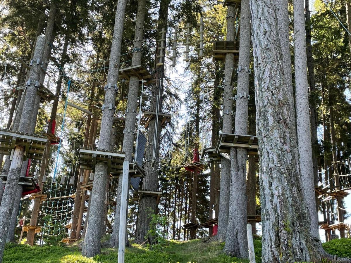 Hundefreundliche Bergwohnung Neben Der Skipiste - Mittelstation Skigebiet Gerlitzen Kanzelhohe Buitenkant foto